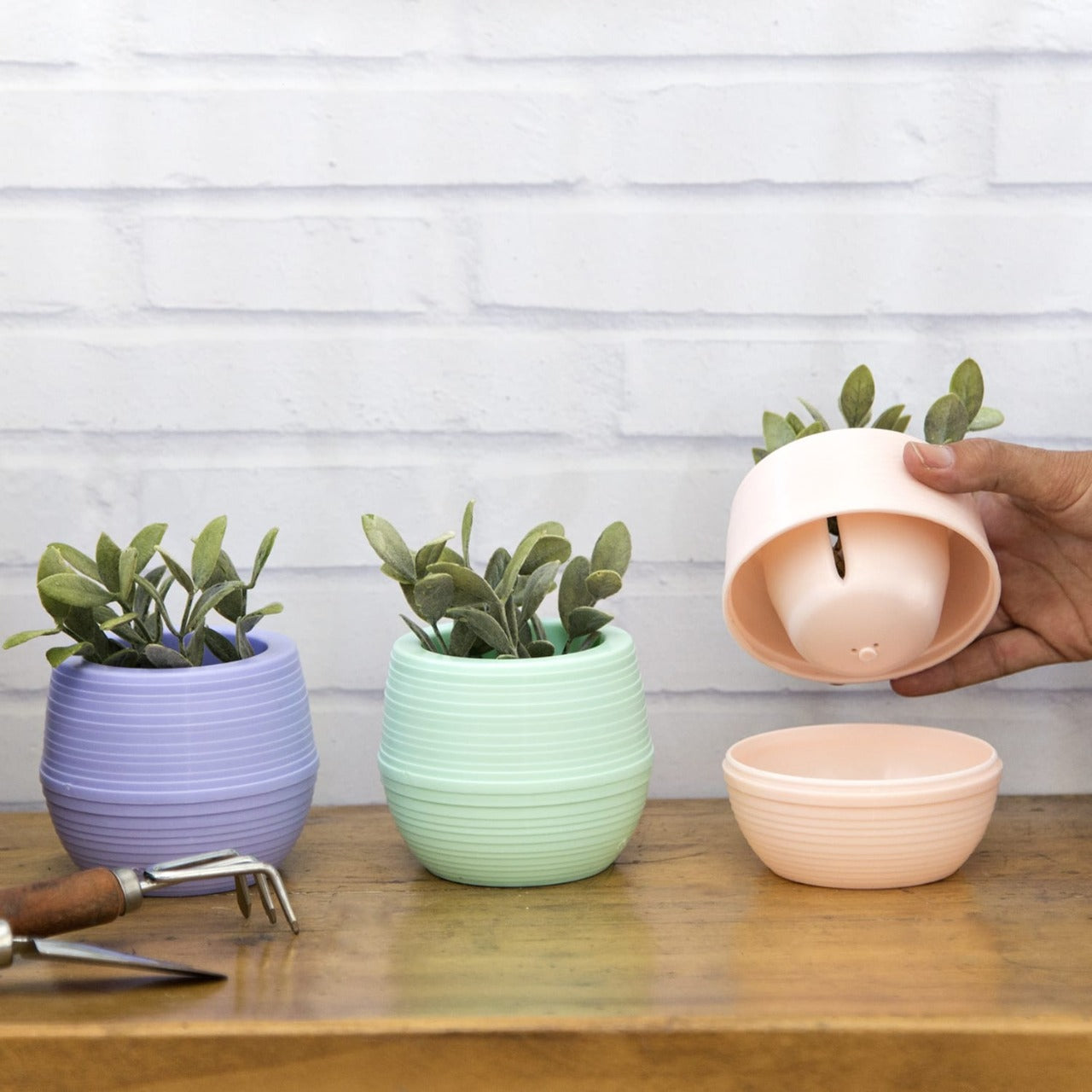 Maceta root auto riego